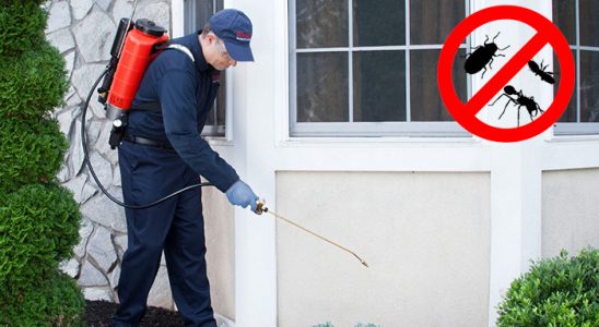 Hanönü Akrep İlaçlama böcek ilaçlama ve haşere kontrolü — ilaclama-tr.com